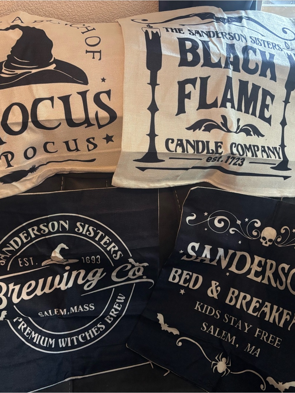 Halloween Hocus Pocus Throw Pillow Covers - Black & Cream Set